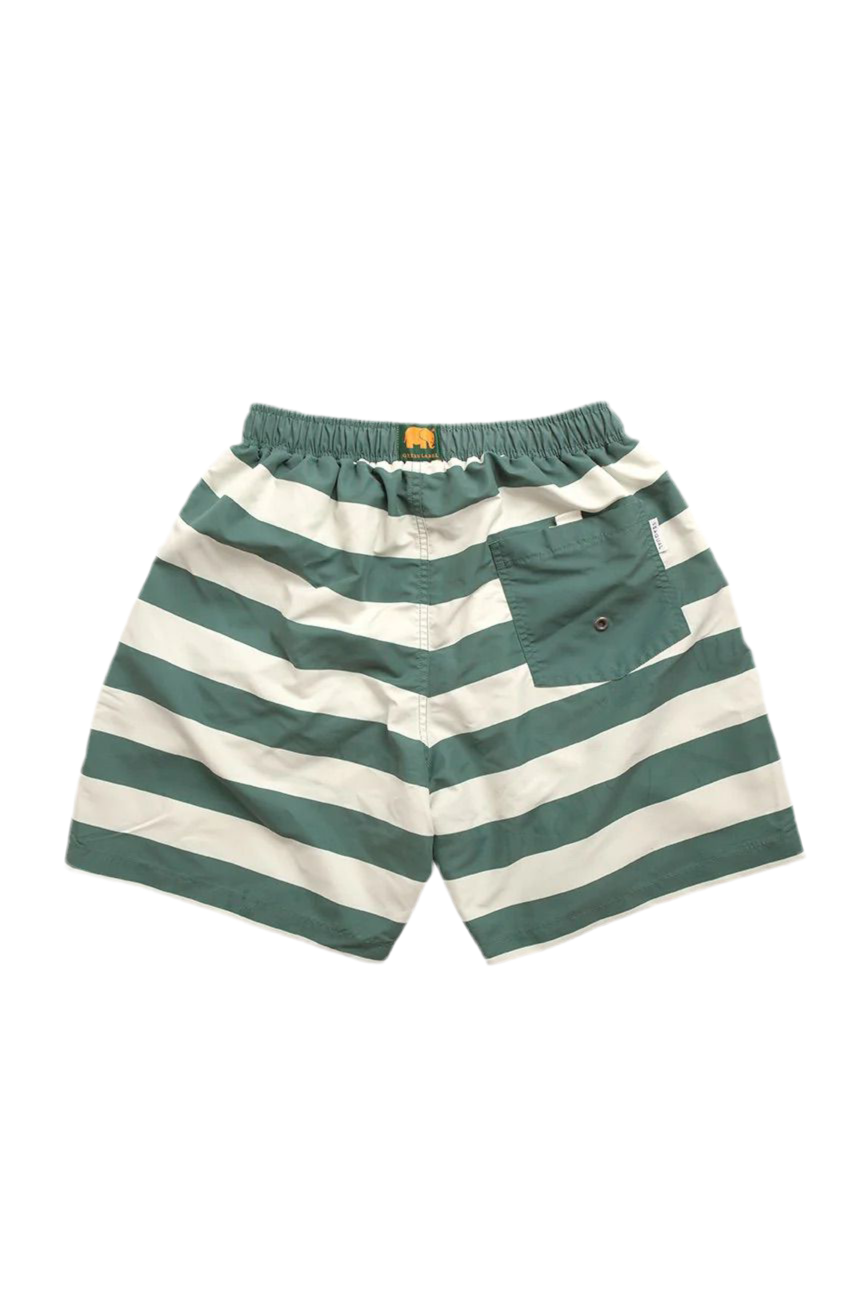 BAÑADOR TRENDSPLANT