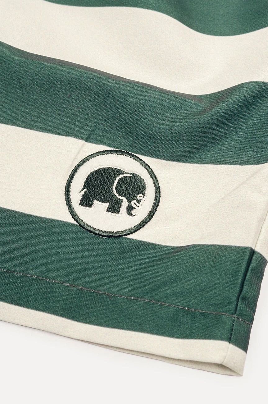 BAÑADOR TRENDSPLANT